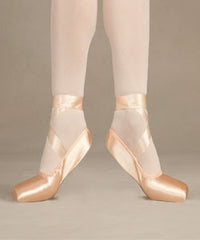 Pointe shoe hotsell covers bloch