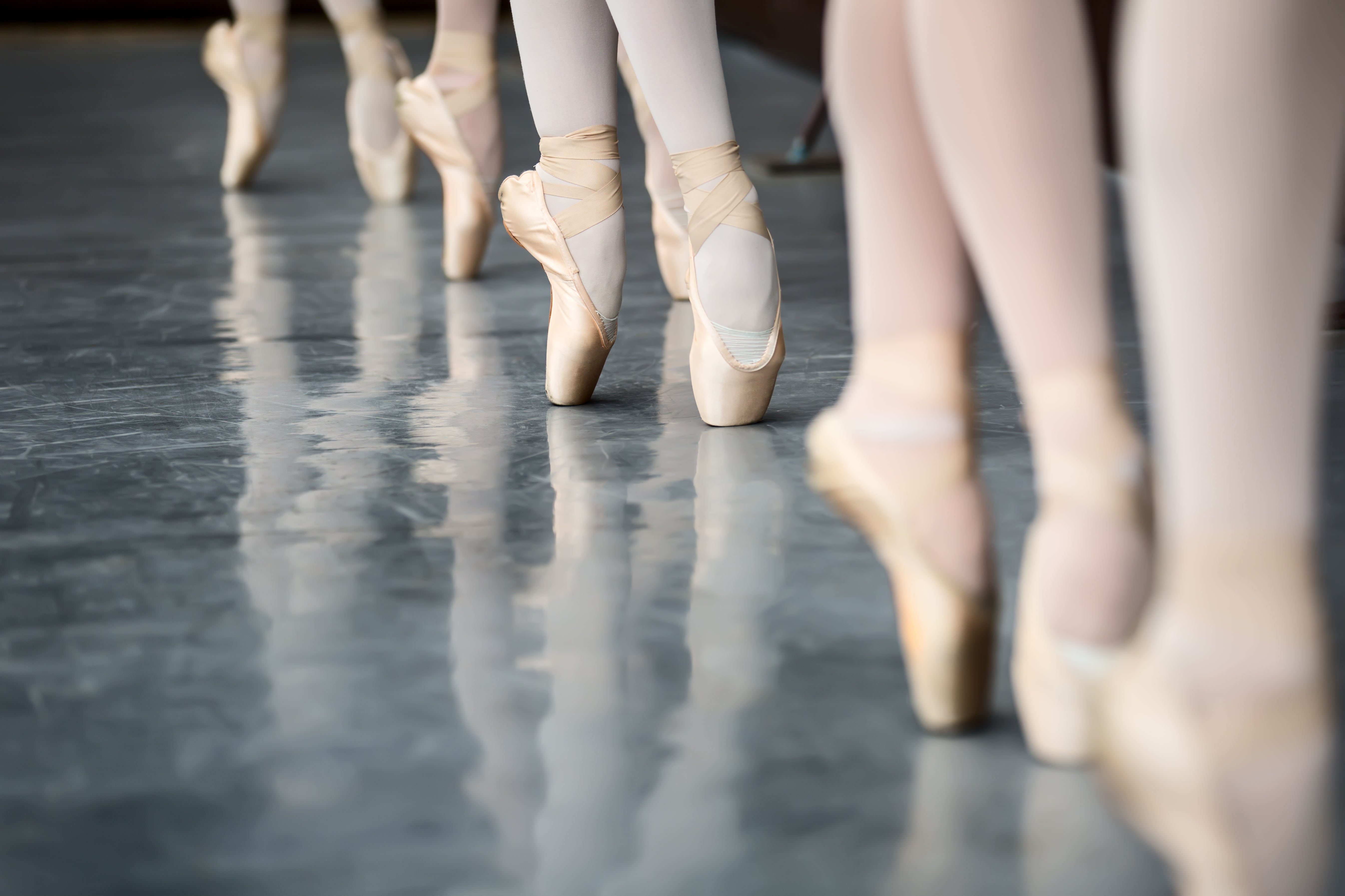 <br><br>POINTE<br>shoes